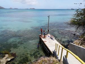 Bryggan GRI Winston pekar i vattnet2