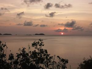 WhatsApp Image 2020 09 08 at 16.26.21 5