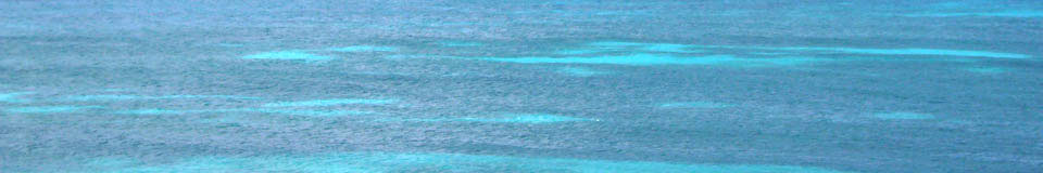 Scuba-diving
